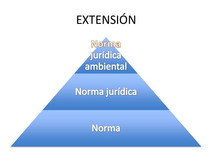 El concepto