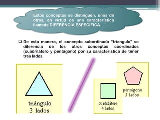 Estos conceptos se distinguen, unos de
       otros, en virtud de una característica
       llamada DIFERENCIA ESPECIFICA.



 De esta manera, el concepto subordinado “triangulo” se
  diferencia   de   los   otros   conceptos    coordinados
  (cuadrilátero y pentágono) por su característica de tener
  tres lados.
 