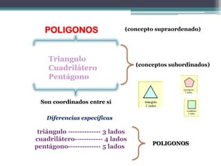 POLIGONOS                    (concepto supraordenado)




    Triangulo
                                    (conceptos subordinados)
    Cuadrilátero
    Pentágono


  Son coordinados entre si

    Diferencias específicas

 triángulo -------------- 3 lados
cuadrilátero------------ 4 lados
                                         POLIGONOS
pentágono-------------- 5 lados
 