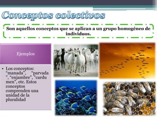 Son aquellos conceptos que se aplican a un grupo homogéneo de
                           individuos.



       Ejemplos


• Los conceptos:
  “manada”, “parvada
  ”, “enjambre”, "cardu
  men", etc. Estos
  conceptos
  comprenden una
  unidad de la
  pluralidad
 