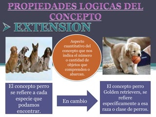 Aspecto
                      cuantitativo del
                     concepto que nos
                     indica el número
                       o cantidad de
                        objetos que
                       comprenden o
                          abarcan.


El concepto perro                          El concepto perro
 se refiere a cada                        Golden retrievers, se
   especie que                                   refiere
                     En cambio           específicamente a esa
     podamos
    encontrar.                           raza o clase de perros.
 