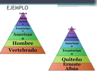 EJEMPLO
     Ernest
       o
    Albán
    Quiteñ
      o
   Ecuatorian     Vertebra
       o             do

  American
                  Hombre
     o
 Hombre          American
                    o
Vertebrado      Ecuatorian
                    o
                Quiteño
                Ernesto
                 Albán
 