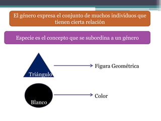 El género expresa el conjunto de muchos individuos que
                 tienen cierta relación

 Especie es el concepto que se subordina a un género




                                 Figura Geométrica
      Triángulo



                                 Color
       Blanco
 
