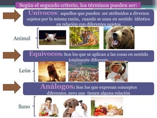 Según el segundo criterio, los términos pueden ser:
     Unívocos: aquellos que pueden           ser atribuidos a diversos
     sujetos por la misma razón, cuando se usan en sentido idéntico
                     en relación con diferentes sujetos


Animal

      Equívocos: Son los que se aplican a las cosas en sentido
                           totalmente diferente

 León


            Análogos: Son los que expresan conceptos
               diferentes, pero que tienen alguna relación


 Sano
 