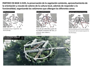 PARTIDO EN BASE A EJES, la preservación de la vegetación existente, aprovechamiento de
la orientación y rescate de valores de la cultura local, además de responder a la
funcionalidad, organizando los volúmenes que albergan las diferentes zonas
 