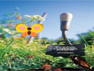 Ganas los concursos
YoTú no eres tan bonita.
   soy máslos jurados tú.
   porque bonita que
    estan comprados
 