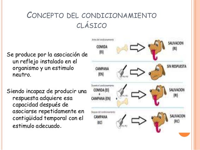 El condicionamiento clásico
