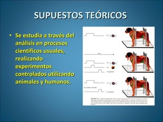 SUPUESTOS TEÓRICOS  <ul><li>Se estudia a través del análisis en procesos científicos usuales, realizando experimentos cont...