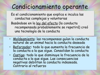 Condicionamiento operante Es el condicionamiento que explica e inculca las conductas complejas y voluntarias Basándose en la  ley del efecto  (la conducta recompensada probablemente se repetirá) creó una tecnología de la conducta Moldeamiento : las recompensas guían la conducta natural de un animal hacia la conducta deseada Reforzador : todo lo que aumenta la frecuencia de la conducta a la que sigue. Consolidan la conducta Castigo : todo lo que disminuye la frecuencia de la conducta a la que sigue. Las consecuencias negativas debilitan la conducta indeseada. Contrario al refuerzo 