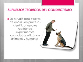 SUPUESTOS TEÓRICOS DEL CONDUCTISMO

 Se
   estudia mas atreves
 de análisis en procesos
   científicos usuales
      realizando
     experimentos
 controlados utilizando
  animales y humanos.
 