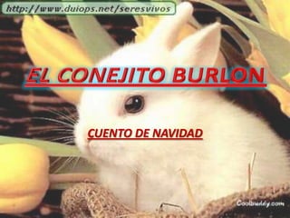 EL CONEJITO BURLON CUENTO DE NAVIDAD 