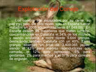 Explotación del Conejo Los conejos son explotados por su carne, su piel y su pelo. De este modo, solo en España fueron matados en 2005 aproximadamente 61.049.000. En España existen 94 mataderos que matan conejos, concentrándose en Cataluña el 34% de los mismos y siendo enviados a morir desde 5.644 granjas, destacando también Cataluña con un 40%. Estas granjas albergan un total de 3.409.065 jaulas, siendo el 43% para madres reproductoras con camada, el 12% para reposición, 6% para gestantes, 2% para machos y el 37% para conejos de engorde. 