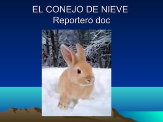 EL CONEJO DE NIEVEEL CONEJO DE NIEVE
Reportero docReportero doc
 