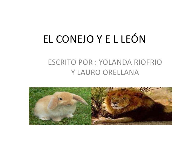 El conejo y e l león