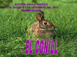 AUTORA: PAULA ANGULO
DATA: DISABTE 7 DE DESEMBRE DEL 2013
PRIMER ROURE

 