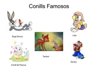 Conills Famosos 
Bugs Bunny 
Lola 
Conill de Pascua 
Quicky 
Tambor 
 