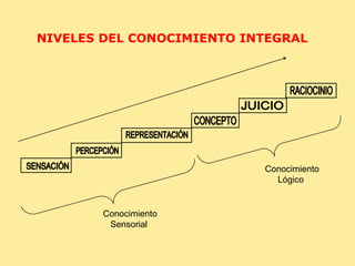 SENSACIÓN PERCEPCIÓN REPRESENTACIÓN CONCEPTO JUICIO RACIOCINIO Conocimiento Sensorial  Conocimiento Lógico NIVELES DEL CONOCIMIENTO INTEGRAL  