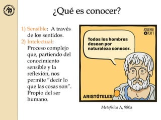 ¿Qué es conocer?
1) Sensible: A través
de los sentidos.
2) Intelectual:
Proceso complejo
que, partiendo del
conocimiento
sensible y la
reflexión, nos
permite “decir lo
que las cosas son”.
Propio del ser
humano.
Metafísica A, 980a
 