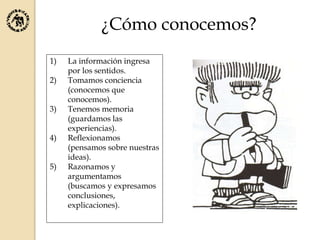 ¿Cómo conocemos?
1) La información ingresa
por los sentidos.
2) Tomamos conciencia
(conocemos que
conocemos).
3) Tenemos memoria
(guardamos las
experiencias).
4) Reflexionamos
(pensamos sobre nuestras
ideas).
5) Razonamos y
argumentamos
(buscamos y expresamos
conclusiones,
explicaciones).
 