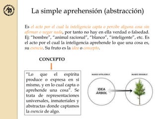 La simple aprehensión (abstracción)
Es el acto por el cual la inteligencia capta o percibe alguna cosa sin
afirmar o negar nada, por tanto no hay en ella verdad o falsedad.
Ej: “hombre”, “animal racional”, “blanco”, “inteligente”, etc. Es
el acto por el cual la inteligencia aprehende lo que una cosa es,
su esencia. Su fruto es la idea o concepto.
“Lo que el espíritu
produce o expresa en sí
mismo, y en lo cual capta o
aprehende una cosa”. Se
trata de representaciones
universales, inmateriales y
abstractas donde captamos
la esencia de algo.
CONCEPTO
 