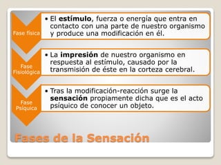 Fases de la Sensación
Fase física
• El estímulo, fuerza o energía que entra en
contacto con una parte de nuestro organismo
y produce una modificación en él.
Fase
Fisiológica
• La impresión de nuestro organismo en
respuesta al estímulo, causado por la
transmisión de éste en la corteza cerebral.
Fase
Psíquica
• Tras la modificación-reacción surge la
sensación propiamente dicha que es el acto
psíquico de conocer un objeto.
 