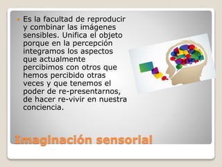 Imaginación sensorial
 Es la facultad de reproducir
y combinar las imágenes
sensibles. Unifica el objeto
porque en la percepción
integramos los aspectos
que actualmente
percibimos con otros que
hemos percibido otras
veces y que tenemos el
poder de re-presentarnos,
de hacer re-vivir en nuestra
conciencia.
 