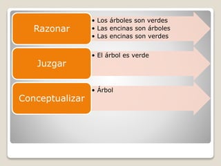 • Los árboles son verdes
• Las encinas son árboles
• Las encinas son verdes
Razonar
• El árbol es verde
Juzgar
• Árbol
Conceptualizar
 