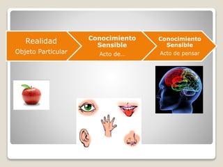 Realidad
Objeto Particular
Conocimiento
Sensible
Acto de…
Conocimiento
Sensible
Acto de pensar
 