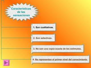 Características
Características
    de las
    de las
 sensaciones
 sensaciones



                  1. Son cualitativas.
                   1. Son cualitativas.



                  2. Son selectivas.
                   2. Son selectivas.



                  3. No son una copia exacta de los estímulos.
                   3. No son una copia exacta de los estímulos.



                  4. No representan el primer nivel del conocimiento.
                   4. No representan el primer nivel del conocimiento.
 