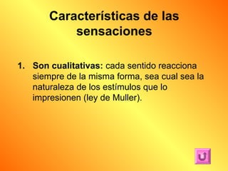 Características de las
           sensaciones

1. Son cualitativas: cada sentido reacciona
   siempre de la misma forma, sea cual sea la
   naturaleza de los estímulos que lo
   impresionen (ley de Muller).
 