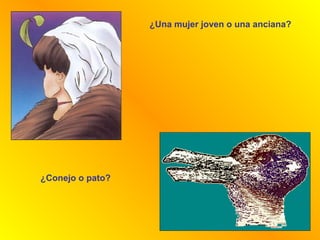 ¿Una mujer joven o una anciana?




¿Conejo o pato?
 