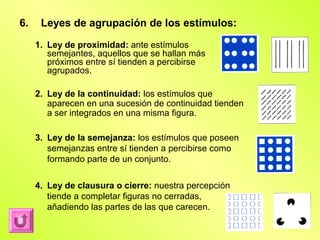 6.    Leyes de agrupación de los estímulos:

     1. Ley de proximidad: ante estímulos
        semejantes, aquellos que se hallan más
        próximos entre sí tienden a percibirse
        agrupados.

     2. Ley de la continuidad: los estímulos que
        aparecen en una sucesión de continuidad tienden
        a ser integrados en una misma figura.

     3. Ley de la semejanza: los estímulos que poseen
        semejanzas entre sí tienden a percibirse como
        formando parte de un conjunto.

     4. Ley de clausura o cierre: nuestra percepción
        tiende a completar figuras no cerradas,
        añadiendo las partes de las que carecen.
 