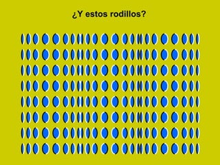 ¿Y estos rodillos?
 