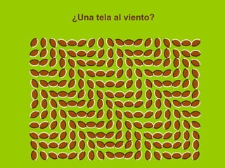 ¿Una tela al viento?
 