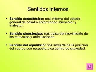 Sentidos internos
• Sentido cenestésico: nos informa del estado
  general de salud o enfermedad, bienestar y
  malestar.

• Sentido cinestésico: nos avisa del movimiento de
  los músculos y articulaciones.

• Sentido del equilibrio: nos advierte de la posición
  del cuerpo con respecto a su centro de gravedad.
 