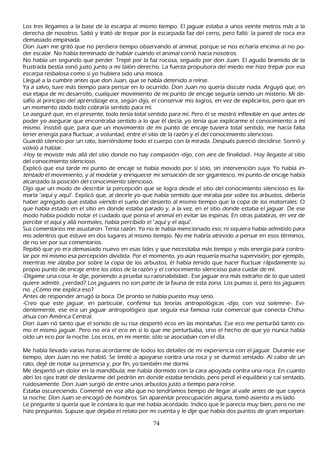 L os tres llegamos a la base de la escarpa al mismo tiempo. El jaguar estaba a unos veinte metros más a la
  derech a de nosotros. S altó y trató de trepar por la escarpada faz del cerro, pero falló: la pared de roca era
  demasiado empinada.
    Don J uan me gritó que no perdiera tiempo observando al animal, porque se nos ech aría encima al no po-
  der escalar. N o h abía terminado de h ablar cuando el animal corrió h acia nosotros.
 N o h abía un segundo que perder. T repé por la faz rocosa, seguido por don J uan. El agudo bramido de la
  frustrada bestia sonó justo junto a mi talón derech o. L a fuerza propulsora del miedo me h izo trepar por esa
   escarpa resbalosa como si yo h ubiera sido una mosca.
  L legué a la cumbre antes que don J uan, que se h abía detenido a reírse.
   Y a a salvo, tuve más tiempo para pensar en lo ocurrido. Don J uan no quería discutir nada. Arguyó que, en
    esa etapa de mi desarrollo, cualquier movimiento de mi punto de encaje seguiría siendo un misterio. M i de-
    safío al principio del aprendizaje era, según dijo, el conservar mis logros, en vez de explicarlos, pero que en
     un momento dado todo cobraría sentido para mí.
    L e aseguré que, en el presente, todo tenía total sentido para mí. P ero él se mostró inflexible en que antes de
     poder yo asegurar que encontraba sentido a lo que él decía, yo tenía que explicarme el conocimiento a mí
     mismo. I nsistió que, para que un movimiento de mi punto de encaje tuviera total sentido, me h acía falta
     tener energía para fluctuar, a voluntad, entre el sitio de la razón y el del conocimiento silencioso.
     G uardó silencio por un rato, barriéndome todo el cuerpo con la mirada. Después pareció decidirse. S onrió y
      volvió a h ablar.
      -Hoy te moviste más allá del sitio donde no h ay compasión -dijo, con aire de finalidad-. Hoy llegaste al sitio
      del conocimiento silencioso.
      Explicó que esa tarde mi punto de encaje se h abía movido por sí sólo, sin intervención suya. Y o h abía in-
       t ent ad o el movimiento, y al modelar y enriquecer mi sensación de ser gigantesco, mi punto de encaje h abía
        alcanzado la posición del conocimiento silencioso.
       Dijo que un modo de describir la percepción que se logra desde el sitio del conocimiento silencioso es lla-
      marla "aquí y aquí". Explicó que, al decirle yo que h abía sentido que miraba por sobre los arbustos, debería
      h aber agregado que estaba viend o el suelo del desierto al mismo tiempo que la copa de los matorrales. O
        que h abía estado en el sitio en donde estaba parado y, a la vez, en el sitio donde estaba el jaguar. De ese
        modo h abía podido notar el cuidado que ponía el animal en evitar las espinas. En otras palabras, en vez de
         percibir el aquí y allá normales, h abía percibido el "aquí y el aquí".
        S us comentarios me asustaron. T enía razón. Y o no le h abía mencionado eso; ni siquiera h abía admitido para
         mis adentros que estuve en dos lugares al mismo tiempo. N o me h abría atrevido a pensar en esos términos,
         de no ser por sus comentarios.
         R epitió que yo era demasiado nuevo en esas lides y que necesitaba más tiempo y más energía para contro-
         lar por mí mismo esa percepción dividida. P or el momento, yo aún requería much a supervisión; por ejemplo,
         mientras me alzaba por sobre la copa de los arbustos, él h abía tenido que h acer fluctuar rápidamente su
          propio punto de encaje entre los sitios de la razón y el conocimiento silencioso para cuidar de mí.
         -Dígame una cosa -le dije, poniendo a prueba su razonabilidad-. Ese jaguar era más extrañ o de lo que usted
          quiere admitir, ¿verdad? L os jaguares no son parte de la fauna de esta zona. L os pumas sí, pero los jaguares
          no. ¿C ómo me explica eso?
          Antes de responder arrugó la boca. De pronto se h abía puesto muy serio.
          -C reo que este jaguar, en particular, confirma tus teorías antropológicas -dijo, con voz solemne-. Evi-
          dentemente, ese era un jaguar antropológico que seguía esa famosa ruta comercial que conecta C h ih u-
          ah ua con América C entral.
          Don J uan rió tanto que el sonido de su risa despertó ecos en las montañ as. Ese eco me perturbó tanto co-
         mo el mismo jaguar. P ero no era el eco en sí lo que me perturbaba, sino el h ech o de que yo nunca h abía
         oído un eco por la noch e. L os ecos, en mi mente, sólo se asociaban con el día.

M e h abía llevado varias h oras acordarme de todos los detalles de mi experiencia con el jaguar. Durante ese
 tiempo, don J uan no me h abló. S e limitó a apoyarse contra una roca y se durmió sentado. Al cabo de un
  rato, dejé de notar su presencia y, por fin, yo también me dormí.
 M e despertó un dolor en la mandíbula; me h abía dormido con la cara apoyada contra una roca. En cuanto
   abrí los ojos traté de deslizarme del pedrón en donde estaba tendido, pero perdí el equilibrio y caí sentado,
    ruidosamente. Don J uan surgió de entre unos arbustos justo a tiempo para reírse.
   Estaba oscureciendo. C omenté en voz alta que no tendríamos tiempo de llegar al valle antes de que cayera
    la noch e. Don J uan se encogió de h ombros. S in aparentar preocupación alguna, tomó asiento a mi lado.
  L e pregunte si quería que le contara lo que me h abía acordado. I ndico que le parecía muy bien, pero no me
   h izo preguntas. S upuse que dejaba el relato por mi cuenta y le dije que h abía dos puntos de gran importan-

                                                       74
 