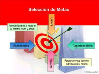 Selección de Metas   Experiencias Capacidad física Accesibilidad de la meta en el entorno físico y social Percepción que tiene un individuo de sí mismo Cultura Valores 