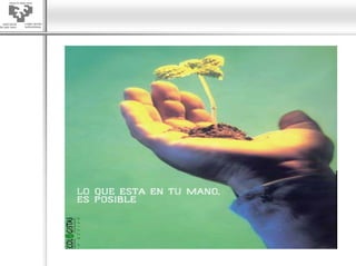 El consumidor ecologico