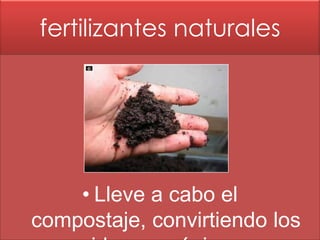 fertilizantes naturales
• Lleve a cabo el
compostaje, convirtiendo los
 