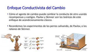 Enfoque Conductivista del Cambio
• Cómo el agente de cambio puede cambiar la conducta de otro usando
recompensas y castigos. Pavlov y Skinner son los teóricos de este
enfoque de acondicionamiento clásico.
• Recordemos los experimentos de los perros salivando, de Pavlov, o los
ratones de Skinner.
 