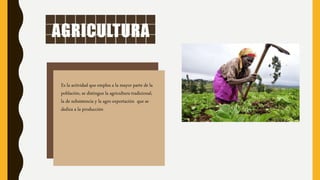 AGRICULTURA
Es la actividad que emplea a la mayor parte de la
población, se distingue la agricultura tradicional,
la de subsistencia y la agro exportación que se
dedica a la producción
 