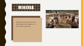 MINERIA
África posee ricos yacimientos de cromo,
platino, fosfatos, hierro, diamantes, oro,
uranio, petróleo y gas natural.
 