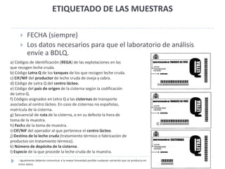 ETIQUETADO DE LAS MUESTRAS

         FECHA (siempre)
         Los datos necesarios para que el laboratorio de análisis
          envíe a BDLQ.
a) Códigos de identificación (REGA) de las explotaciones en las
que recogen leche cruda.
b) Código Letra Q de los tanques de los que recogen leche cruda.
c) CIF/NIF del productor de leche cruda de oveja y cabra.
d) Código de Letra Q del centro lácteo.
e) Código del país de origen de la cisterna según la codificación
de Letra Q.
f) Códigos asignados en Letra Q a las cisternas de transporte
asociadas al centro lácteo. En caso de cisternas no españolas,
matrícula de la cisterna.
g) Secuencial de ruta de la cisterna, o en su defecto la hora de
toma de la muestra.
h) Fecha de la toma de muestra.
i) CIF/NIF del operador al que pertenece el centro lácteo.
j) Destino de la leche cruda (tratamiento térmico o fabricación de
productos sin tratamiento térmico).
k) Número de depósito de la cisterna.
l) Especie de la que procede la leche cruda de la muestra.
     Igualmente deberán comunicar a la mayor brevedad posible cualquier variación que se produzca en
    estos datos.
 