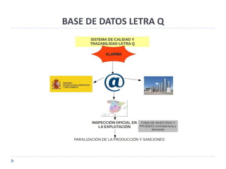 BASE DE DATOS LETRA Q
 