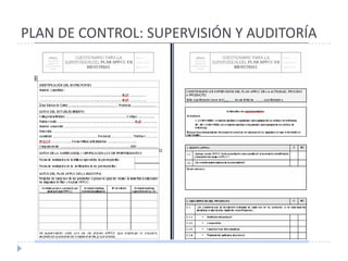 PLAN DE CONTROL: SUPERVISIÓN Y AUDITORÍA
 