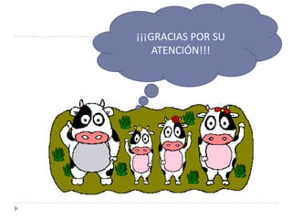 ¡¡¡GRACIAS POR SU
    ATENCIÓN!!!
 