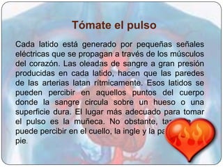 Tómate el pulso
Cada latido está generado por pequeñas señales
eléctricas que se propagan a través de los músculos
del corazón. Las oleadas de sangre a gran presión
producidas en cada latido, hacen que las paredes
de las arterias latan rítmicamente. Esos latidos se
pueden percibir en aquellos puntos del cuerpo
donde la sangre circula sobre un hueso o una
superficie dura. El lugar más adecuado para tomar
el pulso es la muñeca. No obstante, también se
puede percibir en el cuello, la ingle y la parte alta del
pie.
 