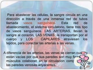Para abastecer las células, la sangre circula en una
 dirección a través de una inmensa red de tubos
 llamada     vasos    sanguíneos.        Esta   red    de
 abastecimiento, el sistema circulatorio, tiene tres tipo
 de vasos sanguíneos. LAS ARTERIAS, llevan la
 sangre al corazón, LAS VENAS la transportan por el
 cuerpo y LOS            CAPILARES atraviesan los
 tejidos, para conectar las arterias a las venas.

A diferencia de las arterias, las venas se cierran cuando
  están vacías por que sus paredes son muy finas. Los
  músculos colaboran en la circulación comprimiendo
  las paredes venosas adyacentes.
 