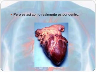  Pero es así como realmente es por dentro:
 