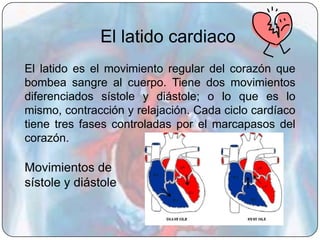 El latido cardiaco
El latido es el movimiento regular del corazón que
bombea sangre al cuerpo. Tiene dos movimientos
diferenciados sístole y diástole; o lo que es lo
mismo, contracción y relajación. Cada ciclo cardíaco
tiene tres fases controladas por el marcapasos del
corazón.

Movimientos de
sístole y diástole
 